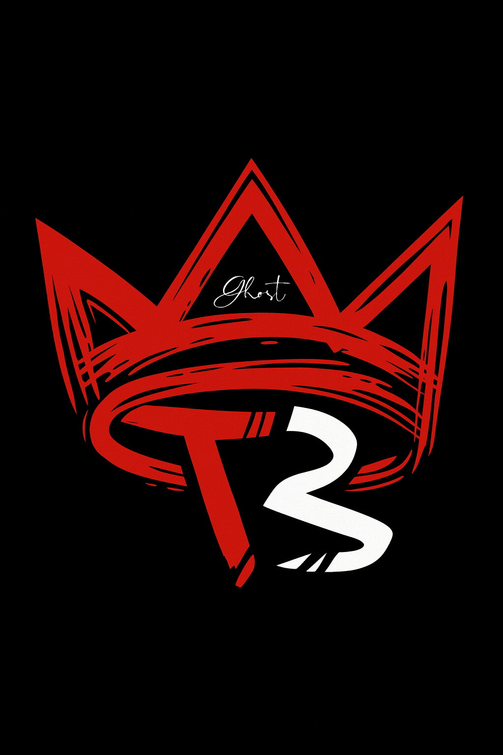 T3 Customs